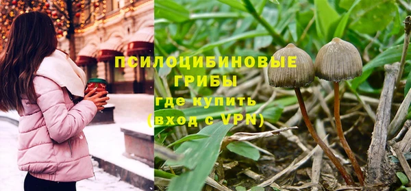 эйфоретик Михайловск
