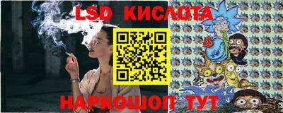 индика Гусев