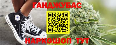 индика Гусев