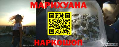 индика Гусев