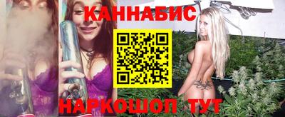 индика Гусев