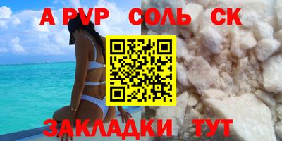 индика Гусев