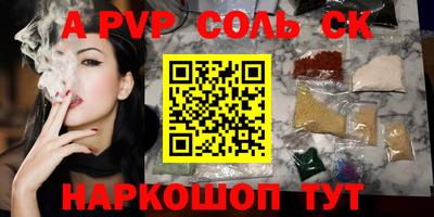 индика Гусев