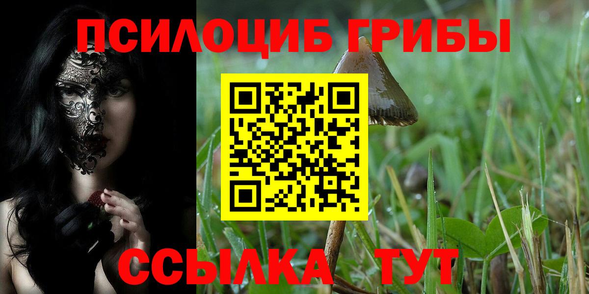 Галлюциногенные грибы GOLDEN TEACHER  Вход с VPN  Тюмень  Галлюциногенные грибы ЛСД 